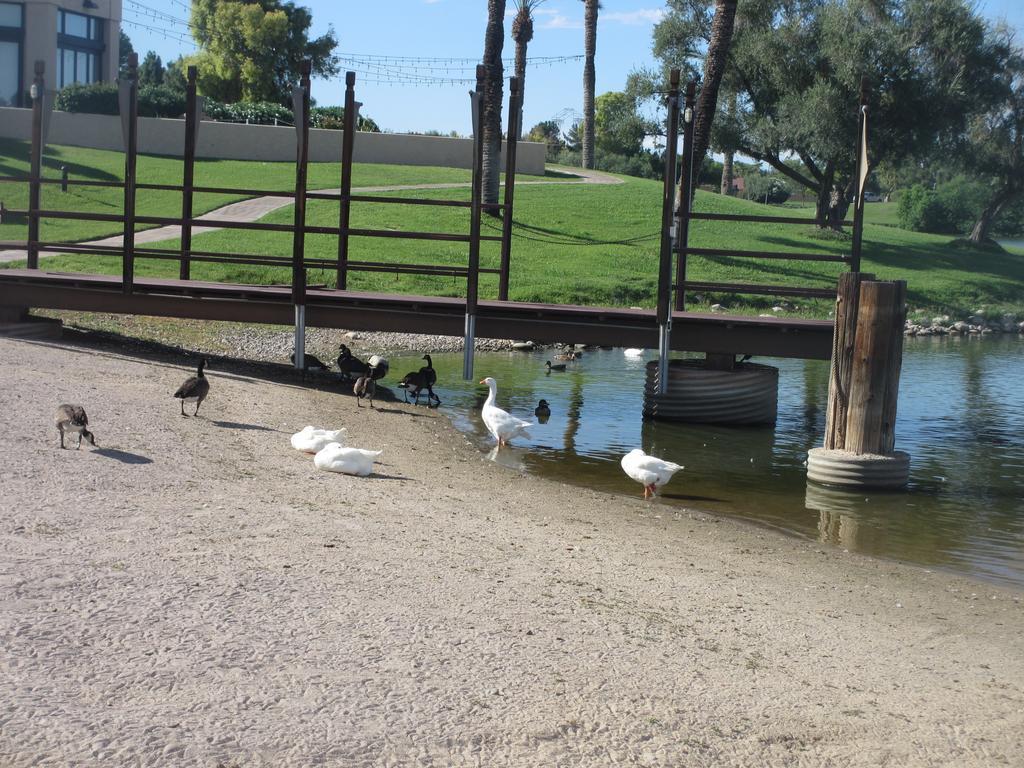 Mccormick Ranch Golf Villa Scottsdale Esterno foto